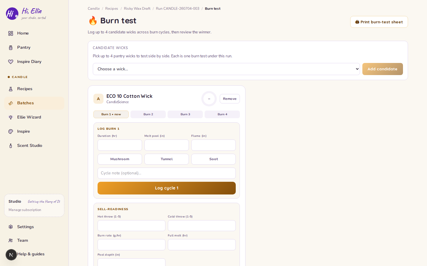 The burn test log for a completed candle batch